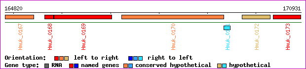 gene map