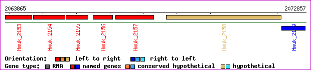 gene map