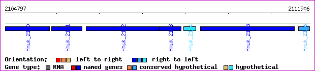 gene map