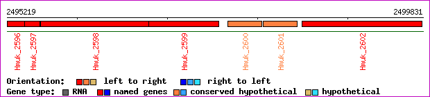 gene map