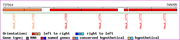 gene map