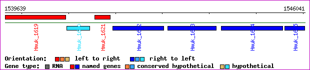 gene map