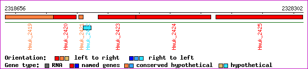 gene map