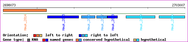 gene map