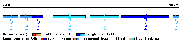gene map