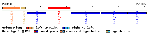 gene map
