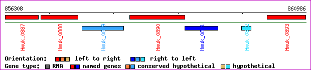 gene map