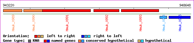 gene map