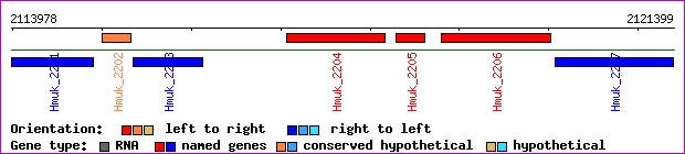 gene map