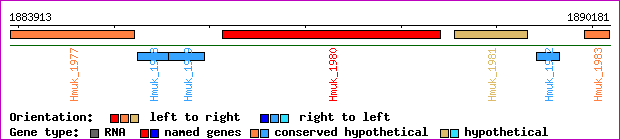 gene map