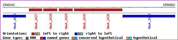 gene map