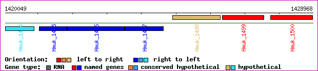 gene map