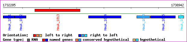 gene map