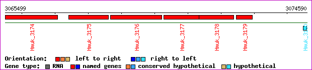 gene map