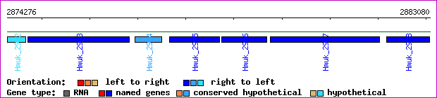 gene map