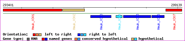 gene map