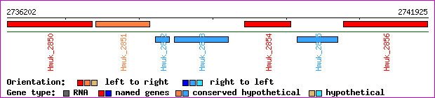 gene map