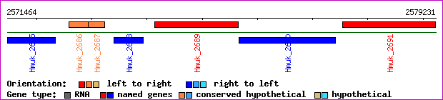 gene map