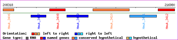 gene map