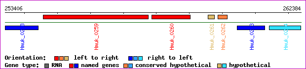 gene map
