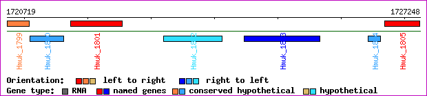 gene map