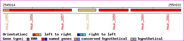 gene map