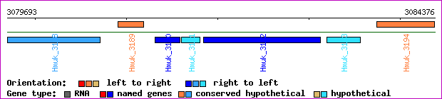 gene map