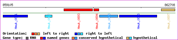 gene map
