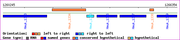 gene map