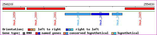 gene map
