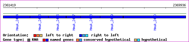 gene map