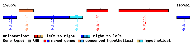 gene map
