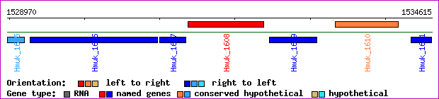 gene map