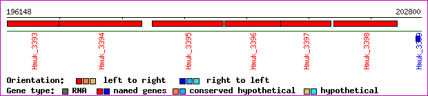 gene map