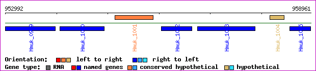 gene map
