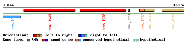 gene map