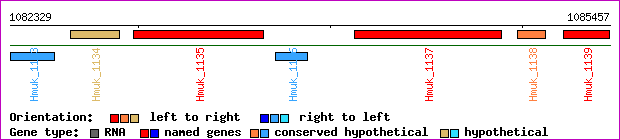 gene map
