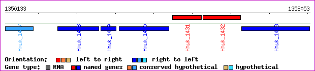 gene map
