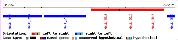 gene map