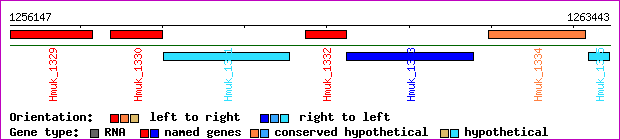 gene map