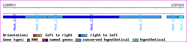 gene map