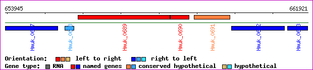 gene map