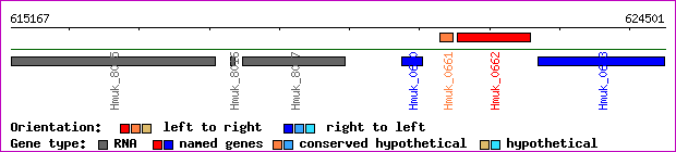 gene map