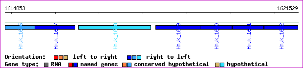 gene map