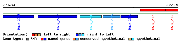 gene map