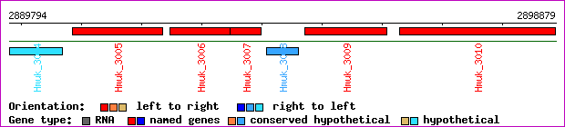 gene map