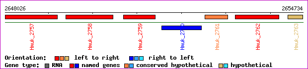 gene map