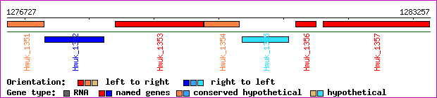 gene map
