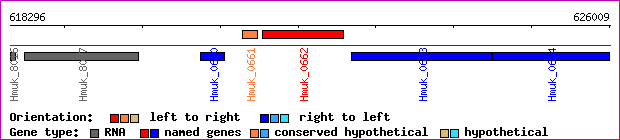 gene map