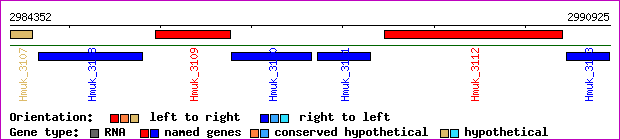 gene map